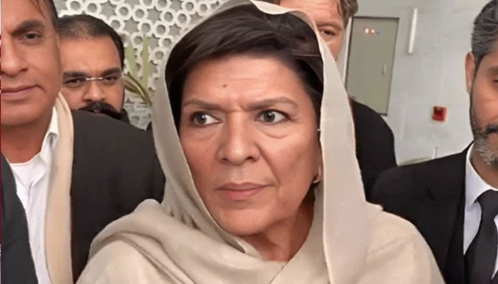 بیرسٹر گوہر، سہیل آفریدی کی محسن نقوی سے خفیہ ملاقات، علیمہ نے بھانڈا پھوڑ دیا