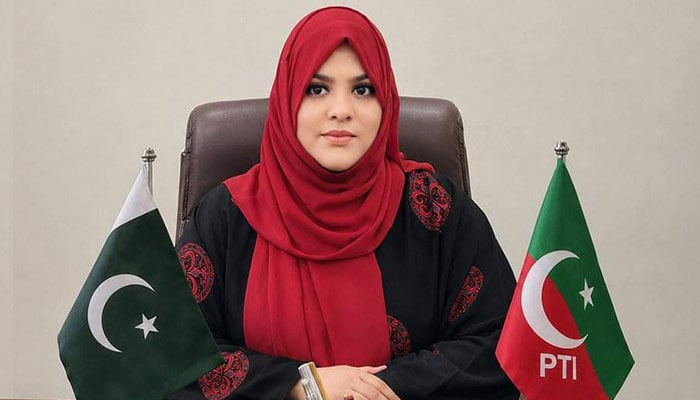 سی پیک کو کامیابی قرار دینے والے کراچی کی تباہ حالی کا بھی جواب دیں، پی ٹی آئی