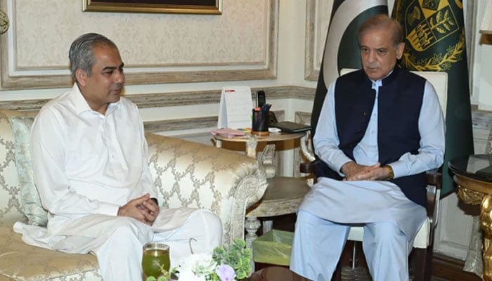حکومت جمہوری عمل کے لیے ہر ممکن اقدامات جاری رکھے گی، شہباز شریف
