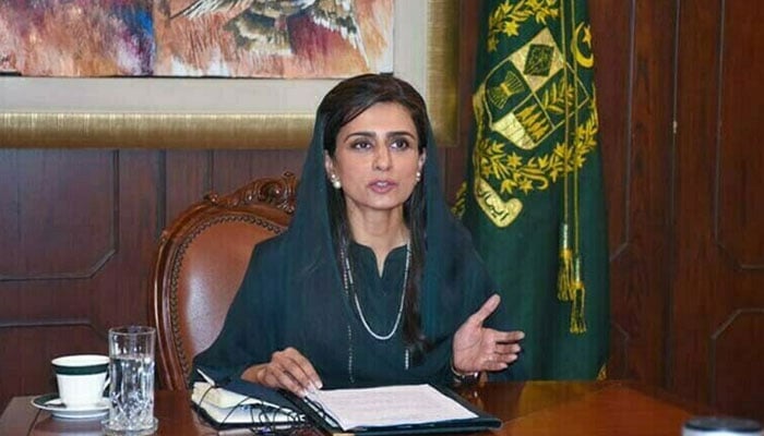قائمہ کمیٹی خارجہ امور، سفارتی تقرریوں میں میرٹ، پیشہ ورانہ مہارت پر زور