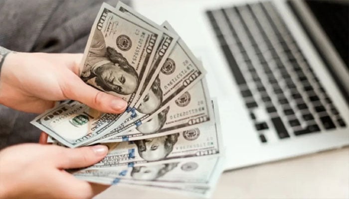 پاکستانی فری لانسرز کی برآمدی آمدن 95 کروڑ 90 لاکھ ڈالر پہنچ گئی
