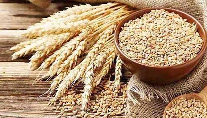 سندھ پنجاب اور کے پی کی مارکیٹوں میں نئی گندم کے ریٹ میں اضافہ