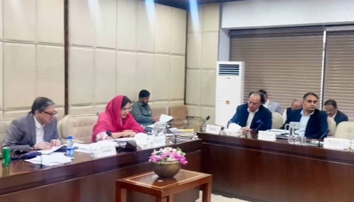 سینٹ خزانہ کمیٹی، جعلی انوائسز اور ڈیجیٹل انٹیگریشن نہ کرنے والوں پر بھاری جرمانوں کی تجاویز منظور