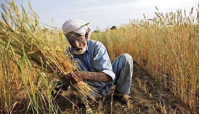 ’’زرخیز اسکیم‘‘ کے تحت کسانوں کو 300 ارب کے بلاسود قرضوں کی فراہمی کا اعلان