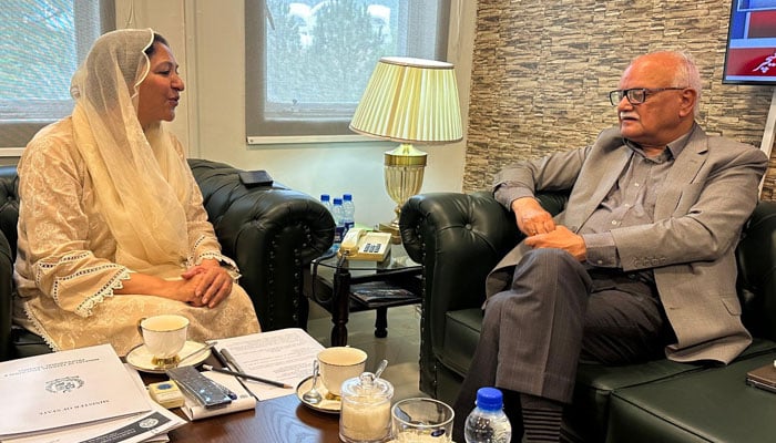 اردو یونیورسٹی کے مسائل ،وزیر مملکت برائے تعلیم سےوقار مہدی کی ملاقات