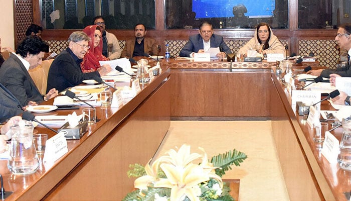 غیر ملکی فنڈڈ منصوبوں میں مبینہ کرپشن، سینیٹ کمیٹی کا وزیراعظم کو بریفنگ دینے کا فیصلہ