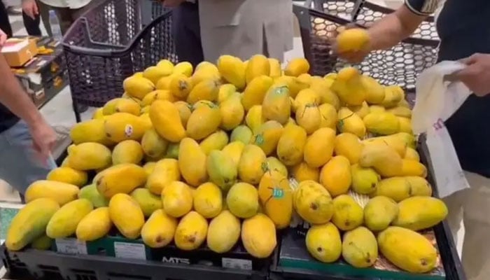 ریاض میں پاکستانی مینگو فیسٹول نے دل جیت لئے