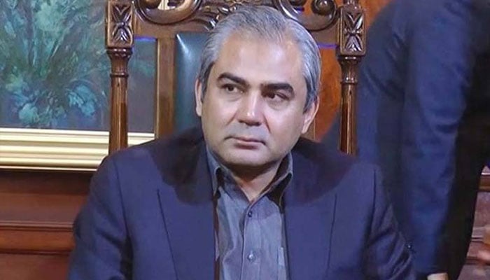 محسن نقوی کی روس، چین، بلجیم اور دیگر وفود سے دو طرفہ ملاقاتیں