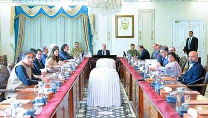 وفاقی کابینہ نے عالمی لیبر معیارات پر عملدرآمد کے حوالے سے اہم منظوری دیدی