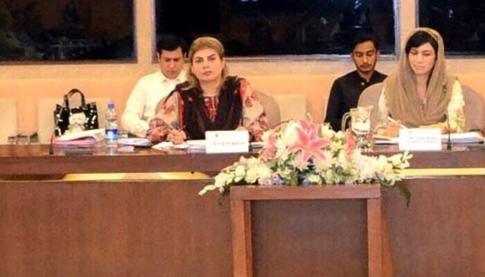 سینیٹ کمیٹی کا NCCIA کارکردگی پر اظہارِ برہمی، بریفنگ کیلئے ڈی جی طلب