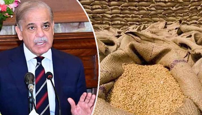 وزیراعظم شہباز شریف نے گندم کی قیمتوں میں تیز رفتار اضافے کا نوٹس لے لیا