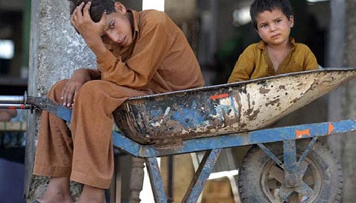 ملک میں 2 کروڑ 80 لاکھ بچے اسکولوں سے باہر ہیں، وفاقی وزیر تخفیف غربت