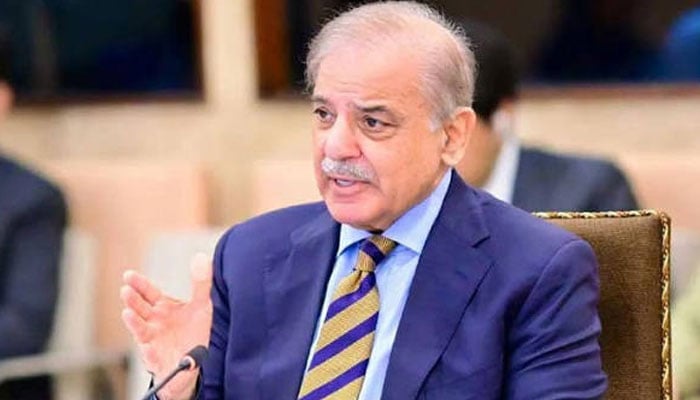 سعودی عرب پر حملہ قابل مذمت، پاکستان خطے میں امن واستحکام کیلئے مخلصانہ کوششوں کی حمایت جاری رکھے گا، شہباز شریف