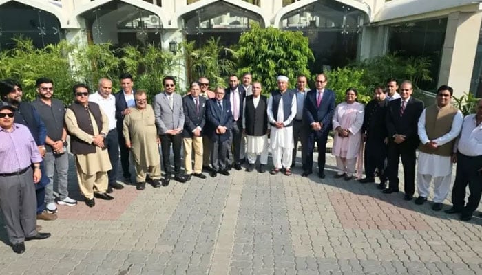 پرنٹ میڈیا کے مسائل، وزارت اطلاعات اور APNS نمائندوں کی مشترکہ کمیٹی بنانے کی ہدایت