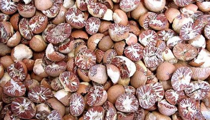 چھالیہ کی بڑی کھیپ کراچی اسمگل کرنے کی کوشش ناکام، ڈرائیور گرفتار