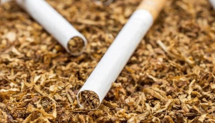 تمباکو سیکٹر حکومت کیلئے سونے کی چڑیا بن گئی