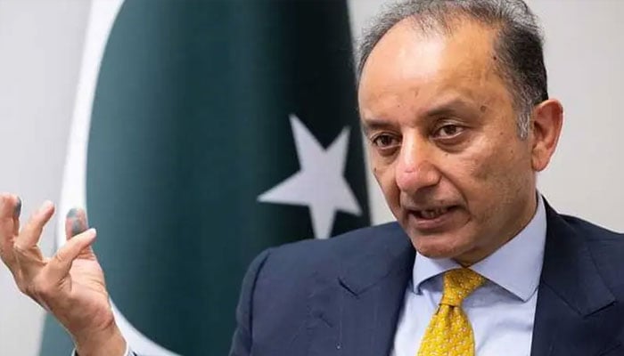 عالمی درجہ حرارت میں اضافہ سے گلیشیئر تیزی سے پگھل رہے ہیں، مصدق ملک