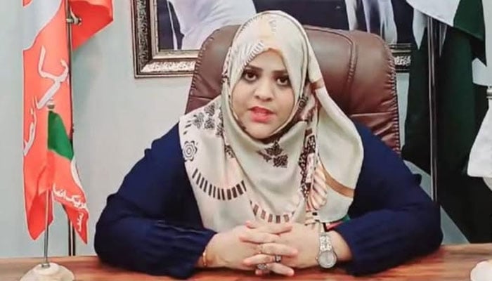 شہر میں پھر بدامنی پھیلانے کی سازشوں کو ناکام بنانا ہوگا، فوزیہ صدیقی