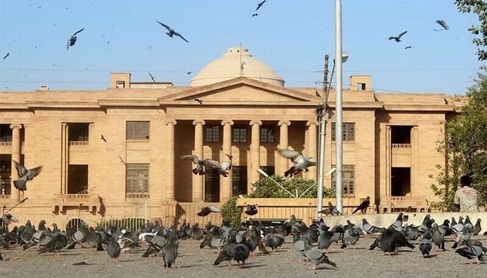 سندھ ہائیکورٹ نے مقدمات و سرکاری ریکارڈ میں ویڈ کا نام لکھنے سے روک دیا