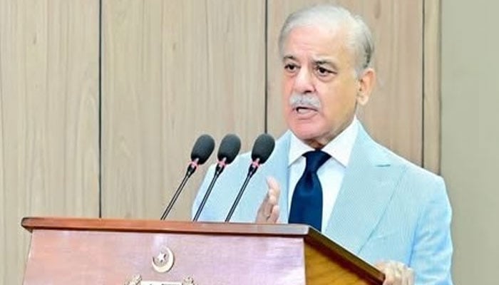 دہشت گردی کے پیچھے بھارت کا ہاتھ، وسائل بھی مہیا کررہا ہے، وزیراعظم