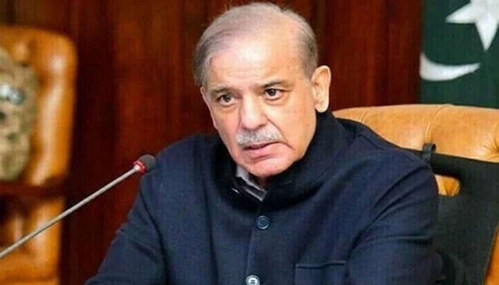 آرٹیکل48 (6 اور 7) میں ریفرنڈم، وزیراعظم کا اختیار، 2 تہائی اکثریت درکار نہیں