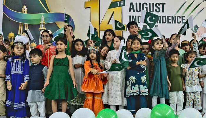 بیرونِ ملک پاکستانی وطن کا مثبت تشخص اجاگر کرنے میں اہم کردار ادا کر رہے ہیں، ڈپٹی قونصل جنرل