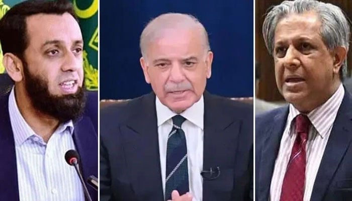 مزید حماقتیں
