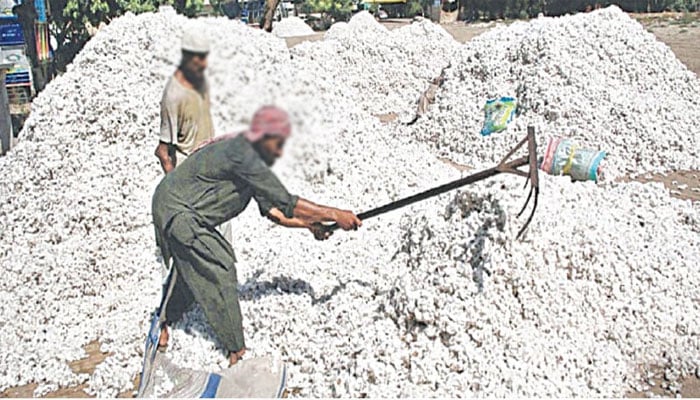 کپاس کی پیداوار میں کمی سے جننگ سیکٹر شدید بحران کا شکار، صرف 268 جننگ فیکٹریاں فعال