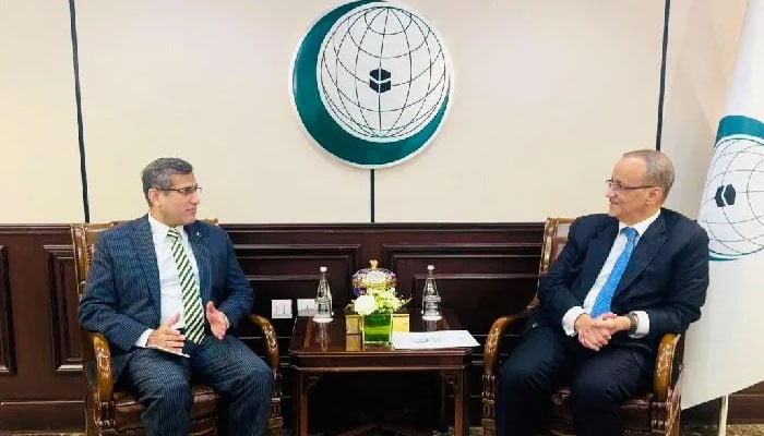 پاکستانی سفیر کی سیکرٹری جنرل او آئی سی سے ملاقات، وزیر خارجہ اسحاق ڈار کا پیغام پہنچایا