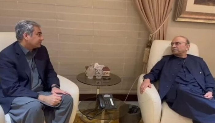 محسن نقوی کی لندن میں آصف زرداری سے ملاقات، متعلقہ حلقوں کو بتا دیں سندھ کی تقسیم ناقابل قبول ہے، صدر مملکت