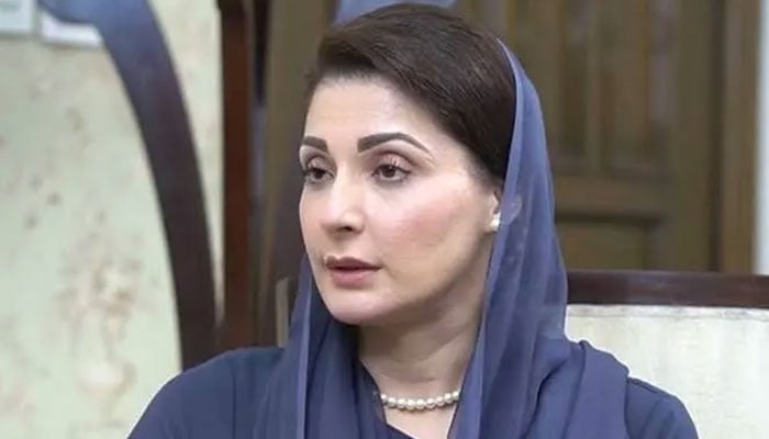 پنجاب کو پڑوسی ملک سے نہیں دیگر صوبوں سے آنے والی دہشت گردی سے خطرہ ہے، وزیراعلیٰ مریم نواز