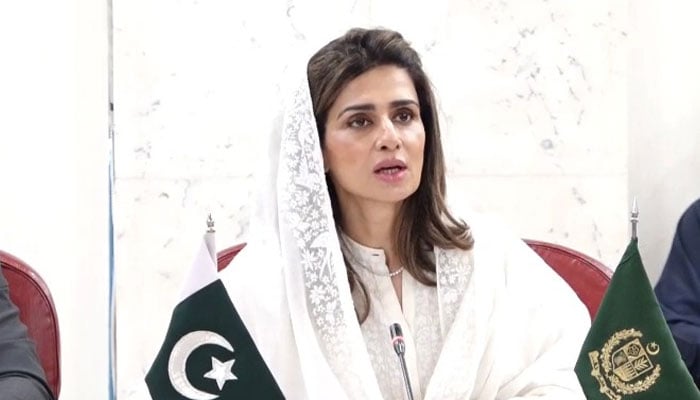 قائمہ کمیٹی، بحرین سمیت مشرق وسطیٰ ممالک سے پاکستانیوں کو نکالنے پر تشویش