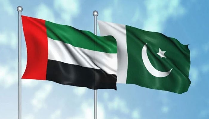 عرب امارات، اوورسیز پاکستانیوں کیلئے پنجاب لینڈ ریکارڈ کی سہولت