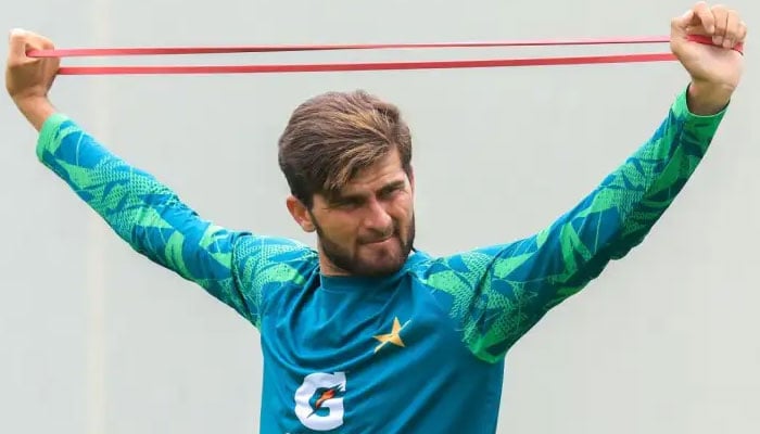 شاہین آفریدی پریزیڈنٹ ٹرافی میں کے آر ایل کی نمائندگی کرینگے