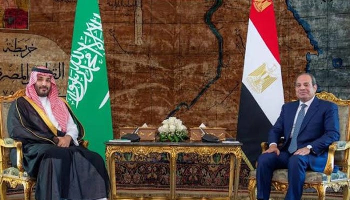 باب المندب پر عالمی تشویش، سعودی ولی عہد کی مصری صدر سے ملاقات، بحری آمدورفت محفوظ بنانے پر زور