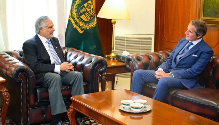 انٹرنیشنل اٹامک انرجی ایجنسی کا پاکستان سے رابطہ