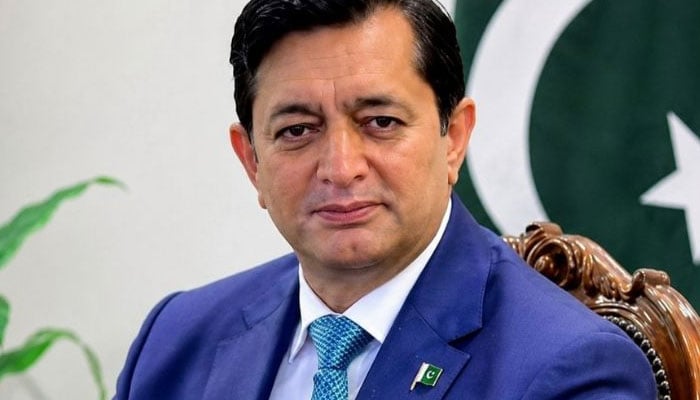 مکہ معاہدے کے پابند ہیں، دفتر خارجہ