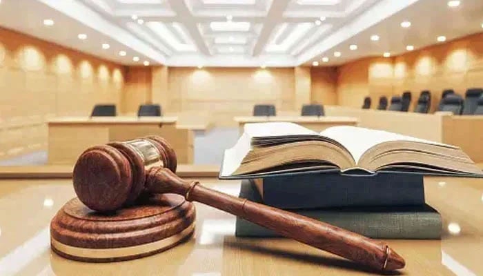 ضمیر عباسی جسمانی ریمانڈ پر ایف آئی اے کے حوالے