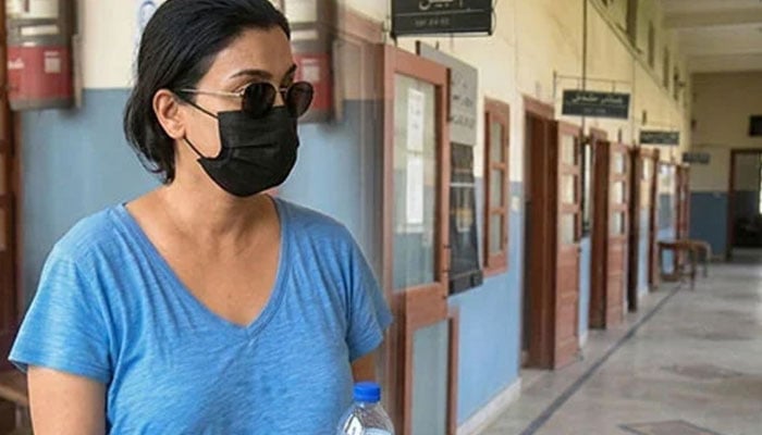 ملزمہ انمول عرف پنکی ودیگر ملزمان کو آئندہ سماعت پر پیش کرنے کے احکامات جاری