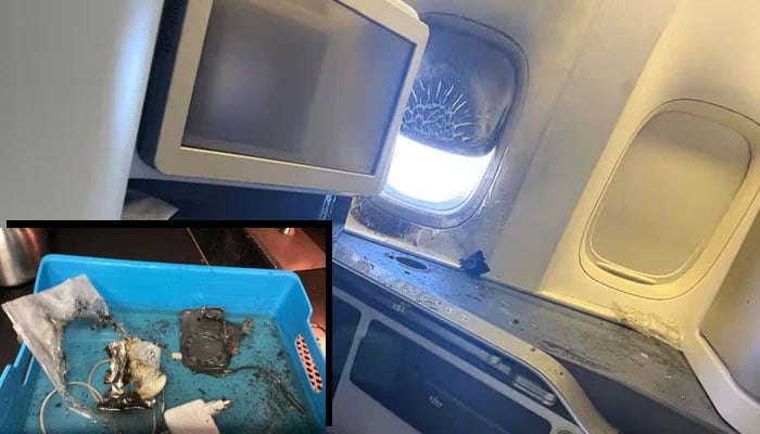 پاور بینک دھماکے میں نیدر لینڈ کی پرواز بال بال بچ گئی، تحقیقات جاری