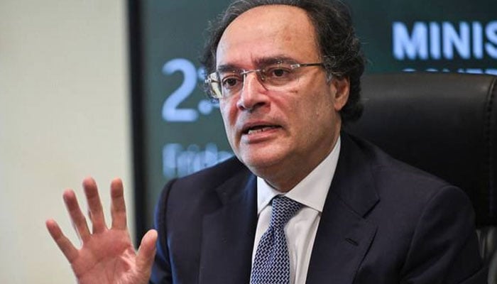 دھرنوں سے معیشت کو یومیہ 120 ارب روپے کا نقصان ہوگا، وفاقی وزیر خزانہ