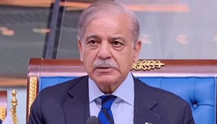 وزیر اعظم نےعالمی امن کے حوالے سے دوٹوک مؤقف پیش کیا، عامر نجیب