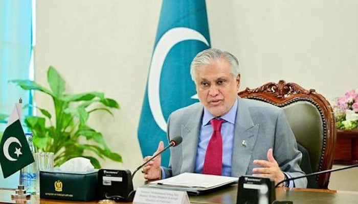 شنگھائی تعاون تنظیم کی مشترکہ سوچ کو عملی اقدامات میں ڈھالنا ہوگا، پاکستان