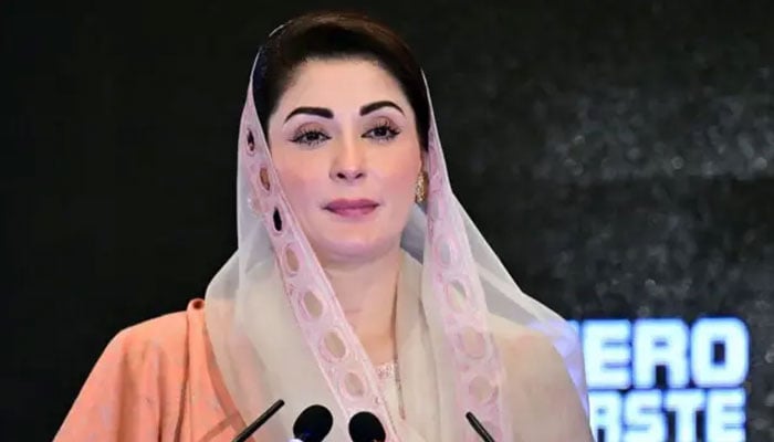 18 ترمیم سے اختیارات ملے لیکن صوبے ملک بن گئے، وزیراعلیٰ مریم نواز