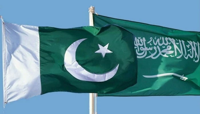 مدینہ منورہ میں بجلی تنصیبات پر حوثی حملے قابل مذمت ہیں، پاکستان