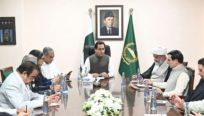 حکومت اپوزیشن کامیاب مذاکرات پر اوورسیز پاکستانی کا خیرمقدم