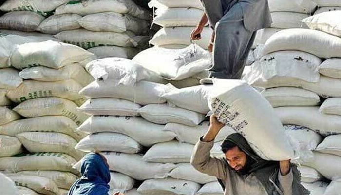 وفاقی کابینہ آئندہ ہفتے درآمدی گندم کی ٹی سی پی سمری کی منظوری دے گی
