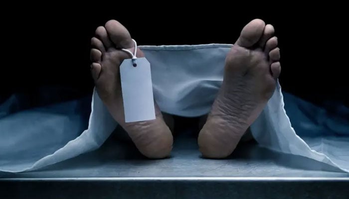 امریکا جانے کے خواب آنکھوں میں سجائے لائبہ دنیا چھوڑ گئی