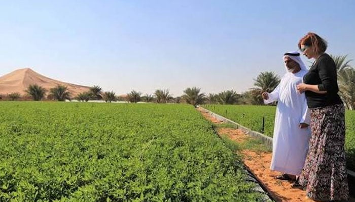 ابوظبی، غذائی تحفظ کیلئے جدید زرعی شہر بنانے کا منصوبہ