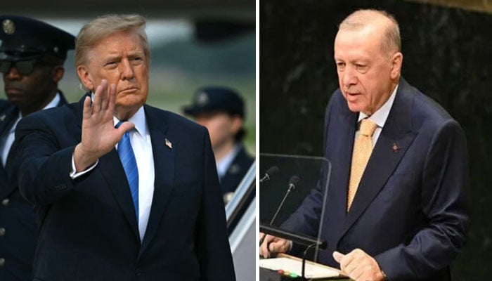حوثیوں کا رویہ بہت برا، ٹرمپ، سعودیہ کے ساتھ ہیں، اردوان کی MBS کو یقین دہانی